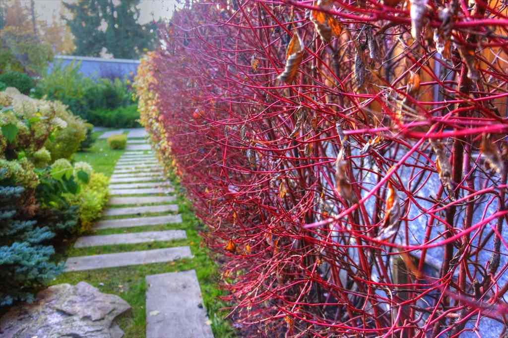 гравитация