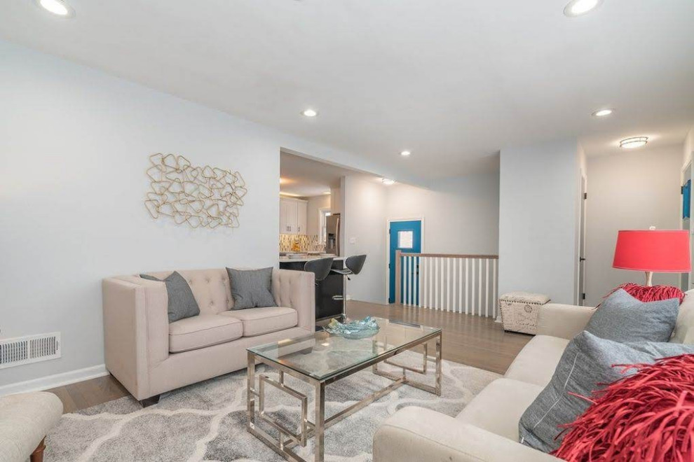Contemporary Basement and Living Area Remodel