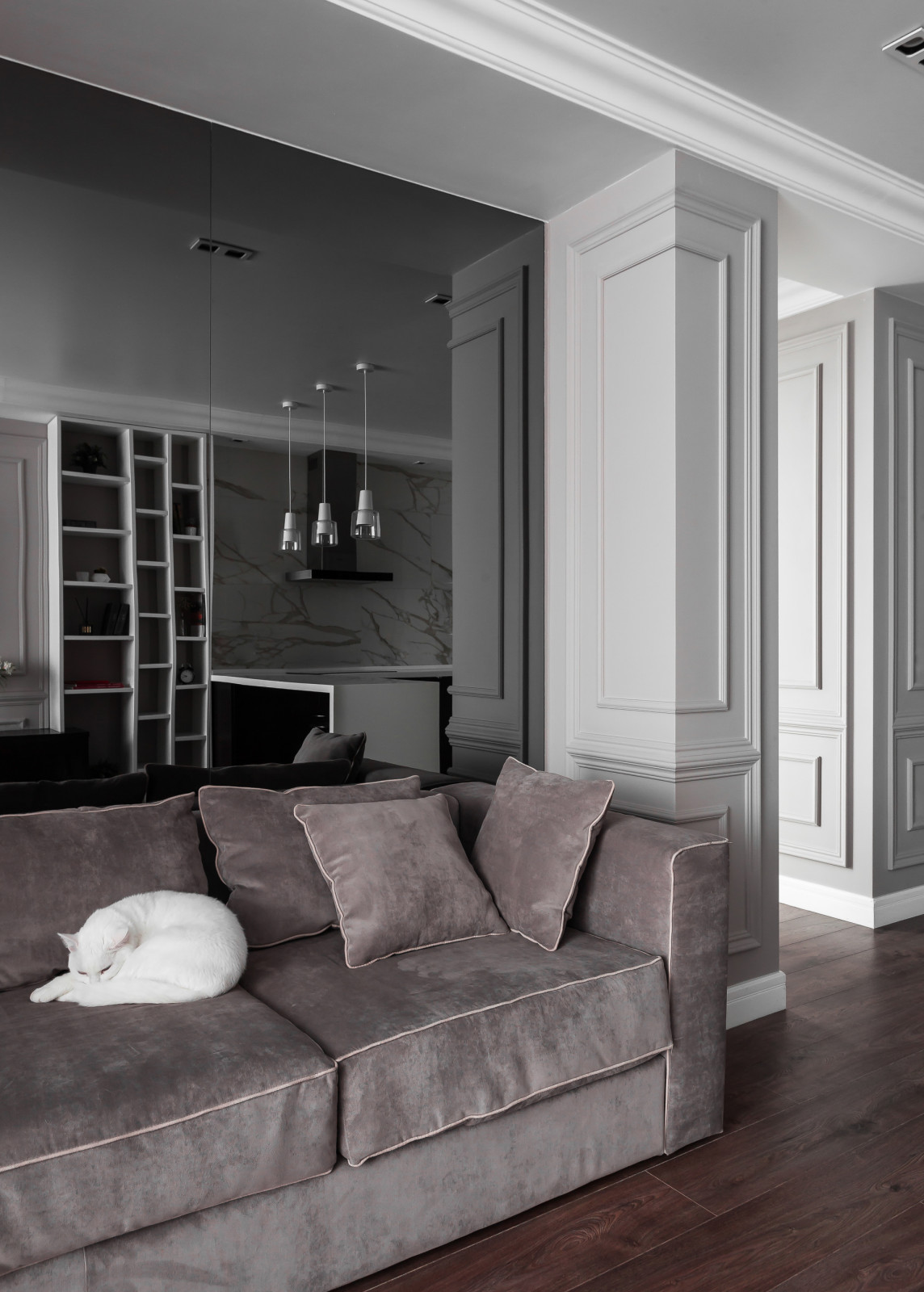 Квартира с двумя белоснежными котами