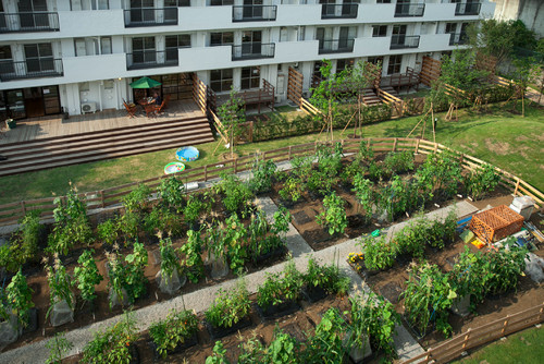 世界の暮らしとデザイン みずみずしい野菜づくりを楽しむ世界10カ国の家庭菜園 Houzz ハウズ