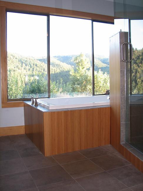 Griffin Creek Remodel