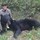 lindsey_weber6606665