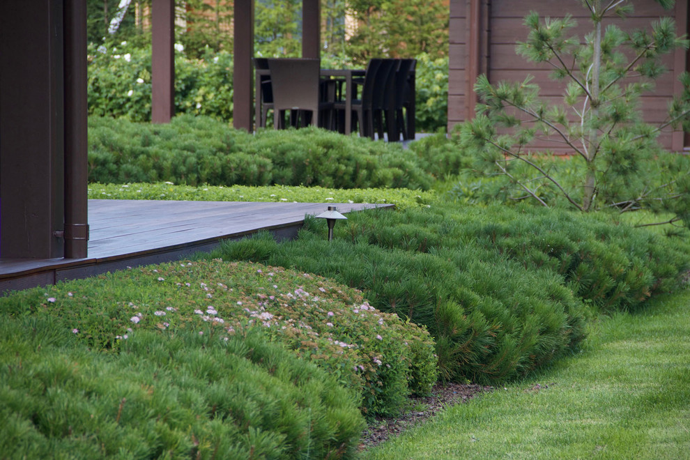 Большой дом на высоком берегу реки