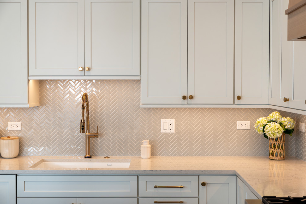 Inspiration for a transitional home design remodel in Chicago