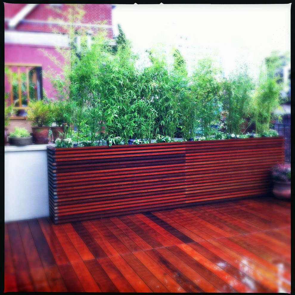 Inspiration for a contemporary rooftop deck in New York with a container garden.