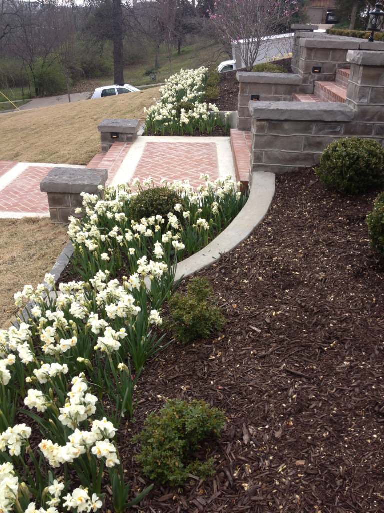 Front Walkway