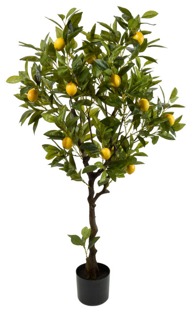 Serene Spaces Living Faux Lemon Tree in Black Pot, 47" - Modern -  Artificial Plants And Trees - by Serene Spaces Living | Houzz