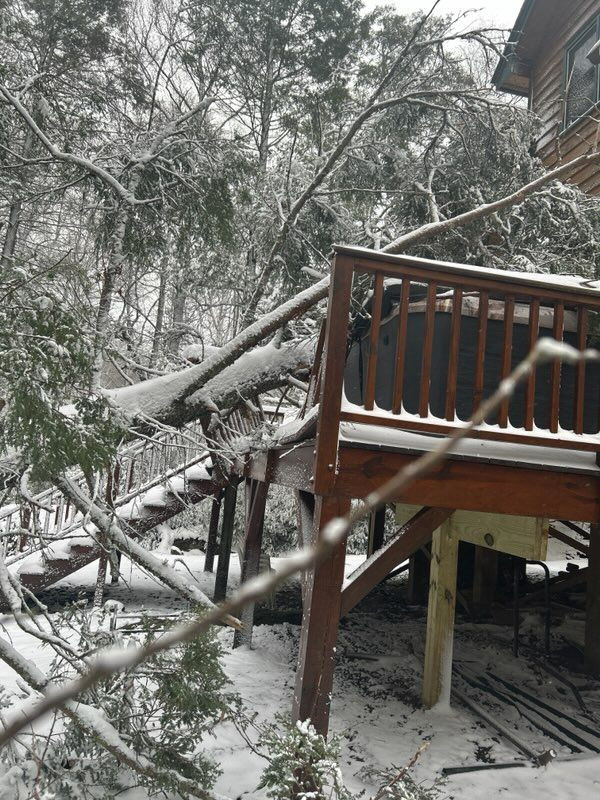 Waterfall Cottage Tree Clearing and Deck Repair