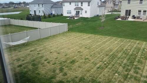 Milorganite Vs Scotts Turf Builder 1500 Trend Home Design Milorganite Vs Scotts Turf Builder 1500 Trend Home Design