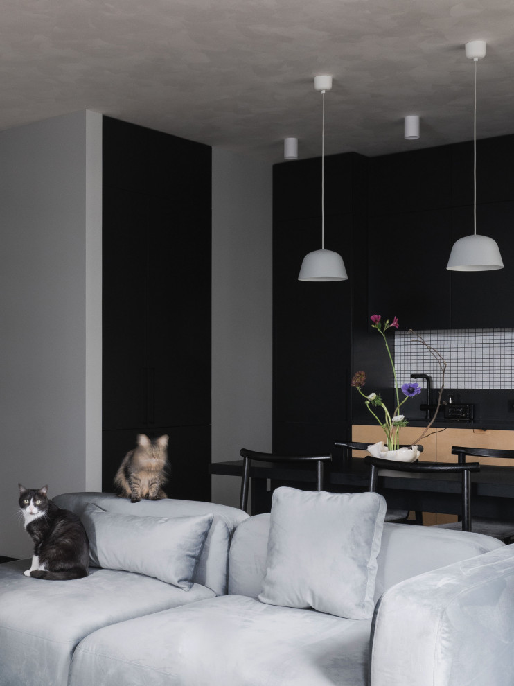 Кухня-гостиная