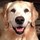 Last commented by tneddog