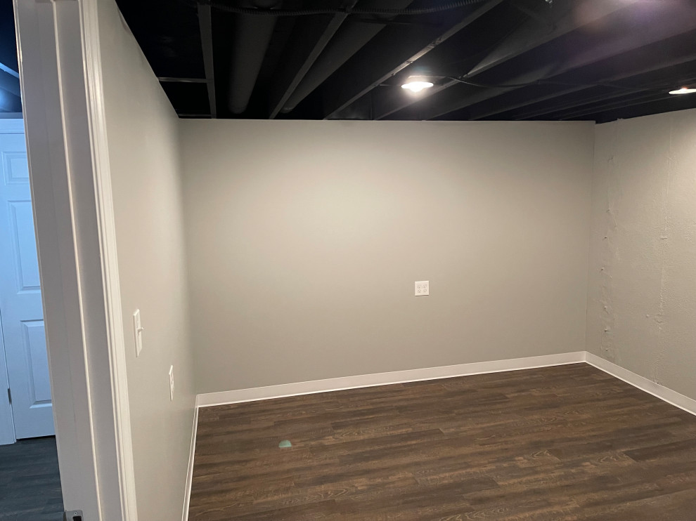 Basement Remodel- Plainfield, IL