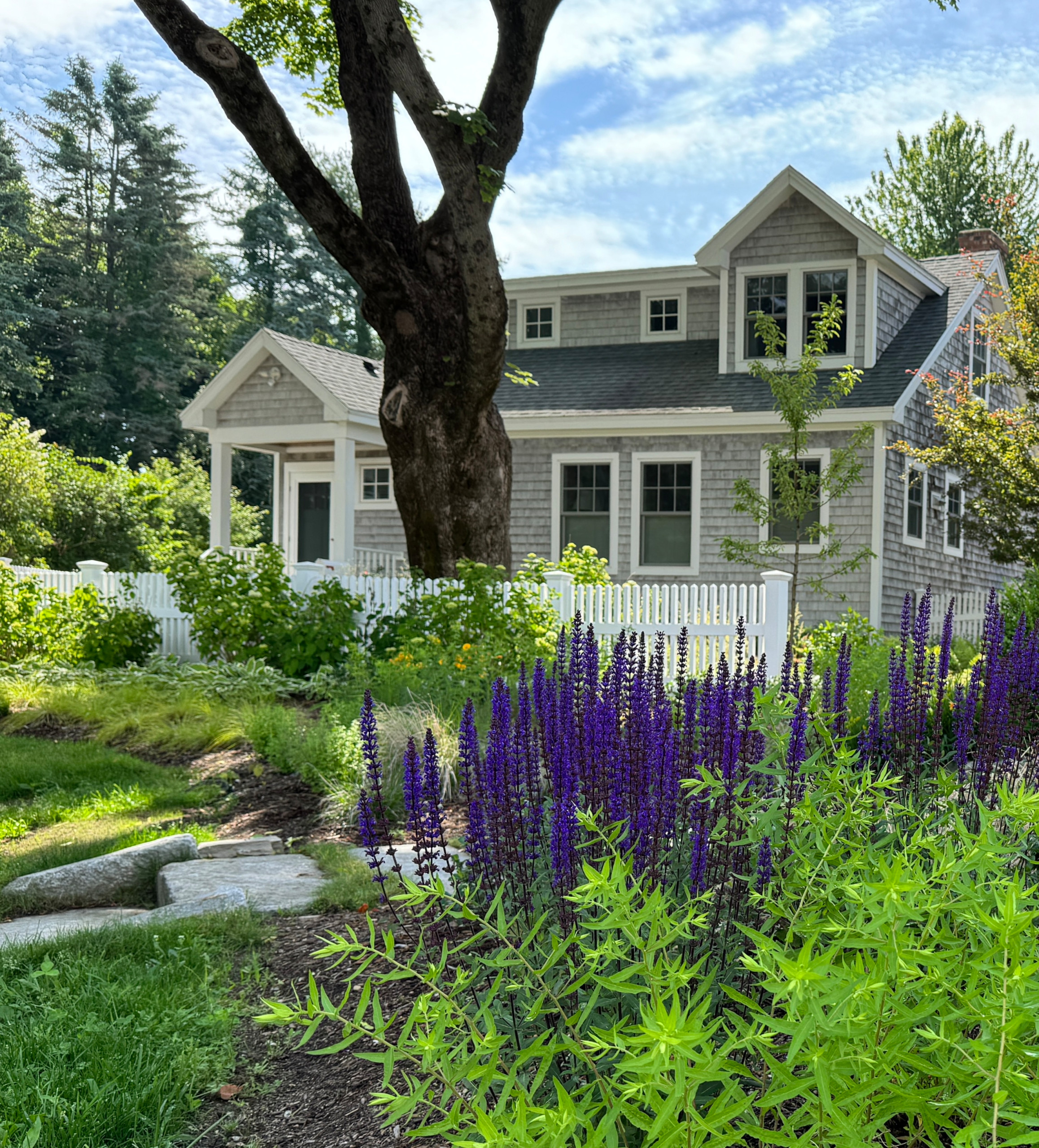 Cape Elizabeth Native Plants
