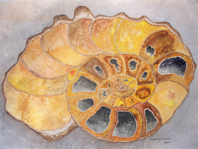 "Nautilus Fossil Cross-Section" Original Art