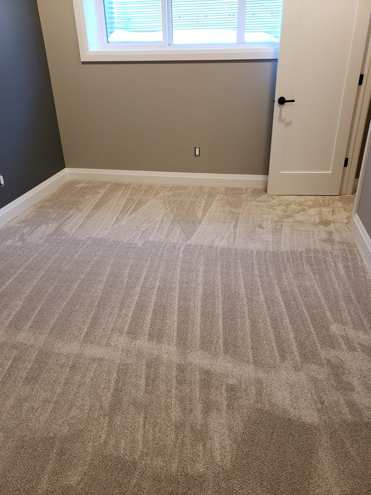 St. Albert Carpet Project