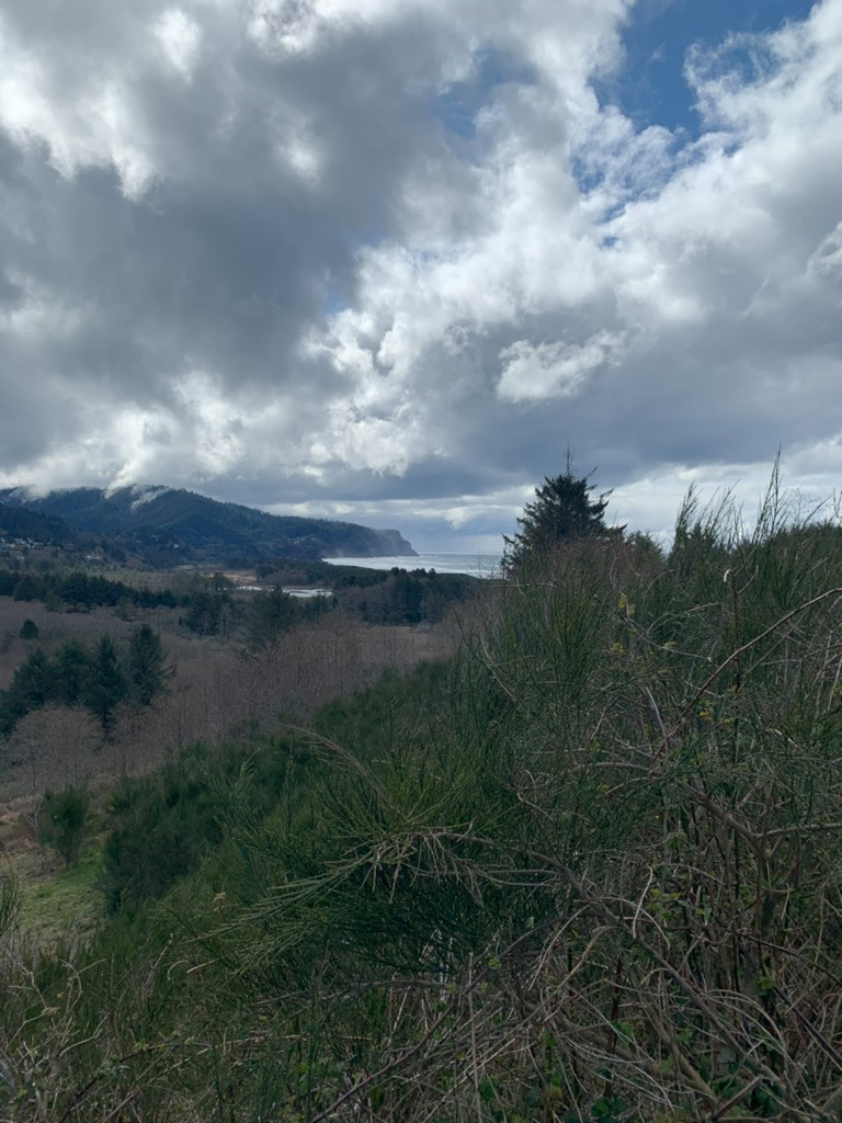 Neskowin