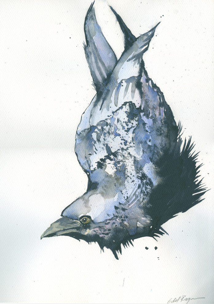 Watercolour Crow