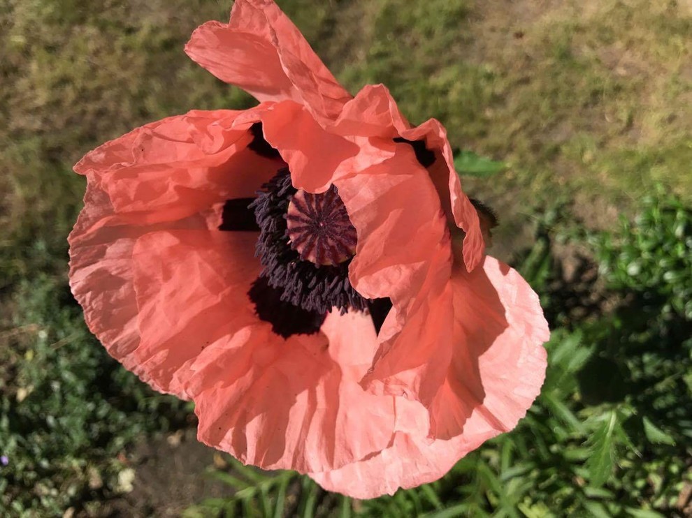 Частный парк Московская область