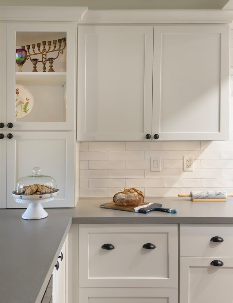 Transitional home design photo in Orange County