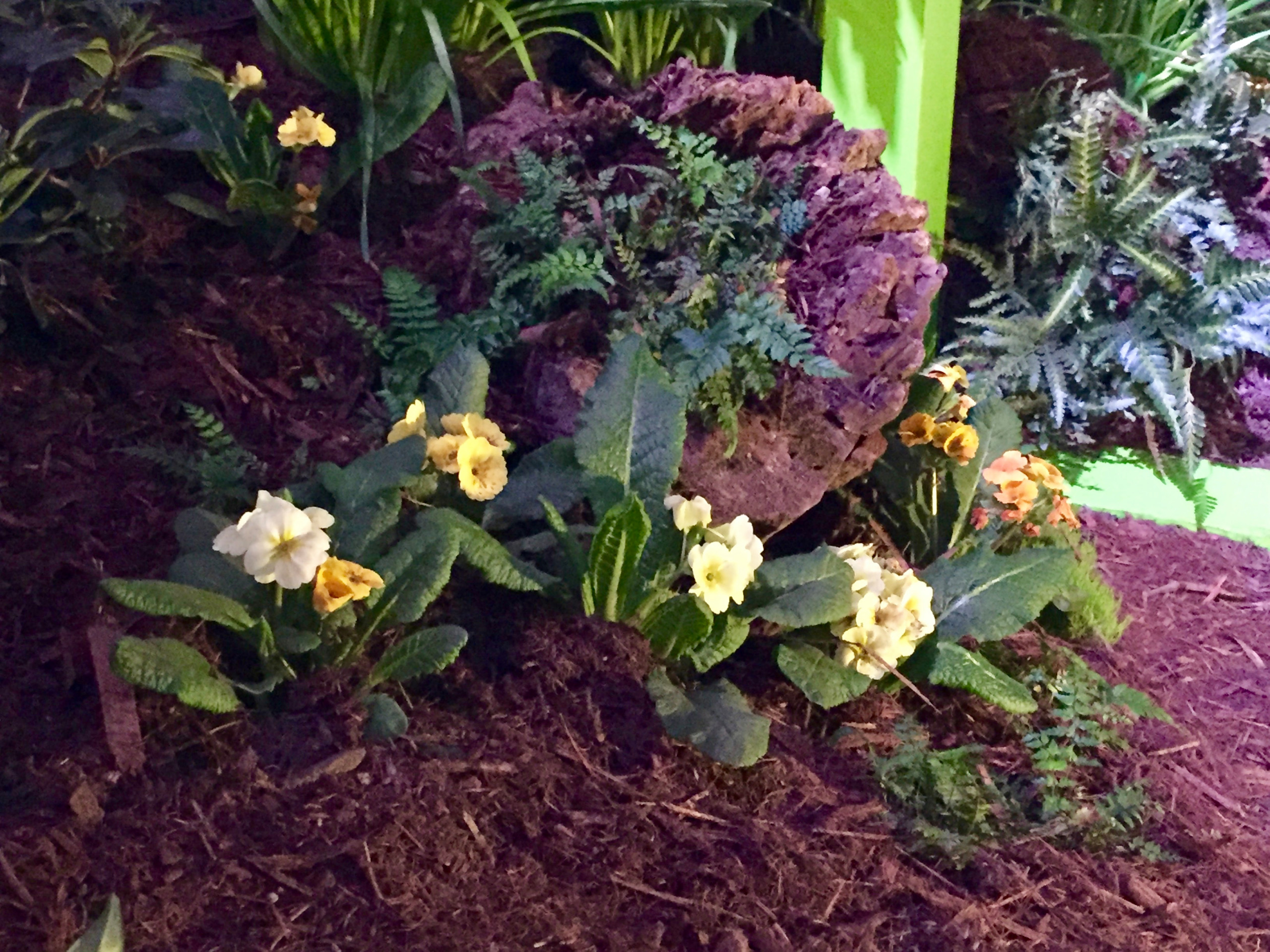 Southern Spring Home and Garden Show 2017