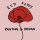 Red Poppy Painting and Design