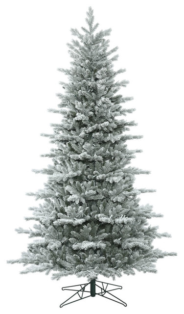 Frosted Eastern Frasier Fir Christmas Tree 7878 Tips 12 X88 Traditional Christmas Trees By Vickerman Company