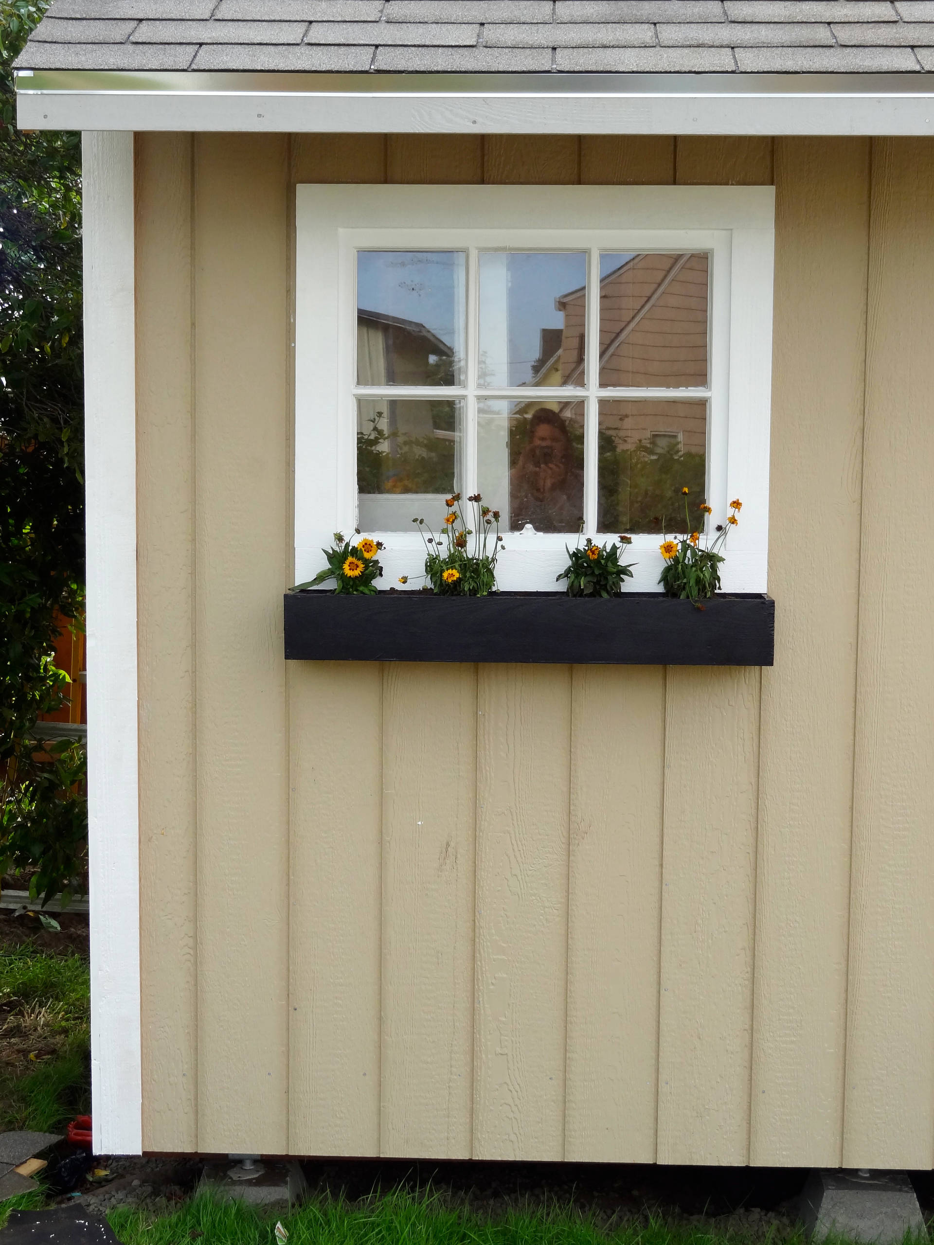 Modern Rustic Window Box