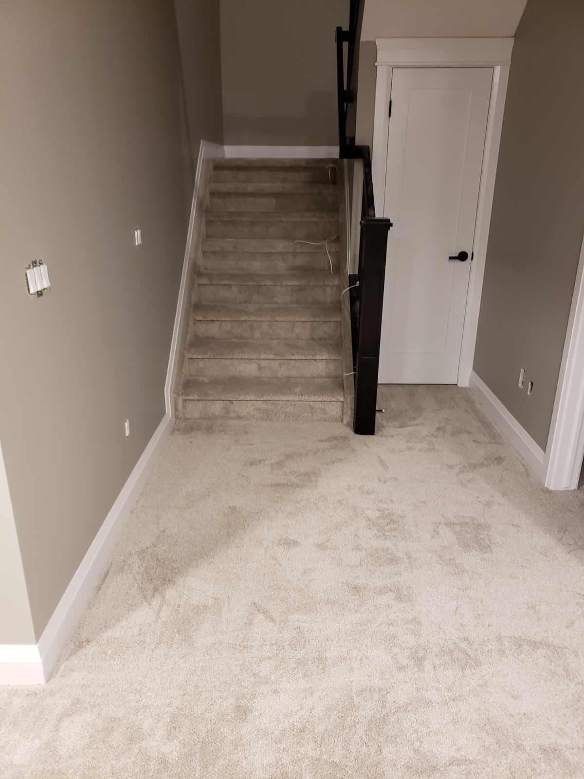 Carpet