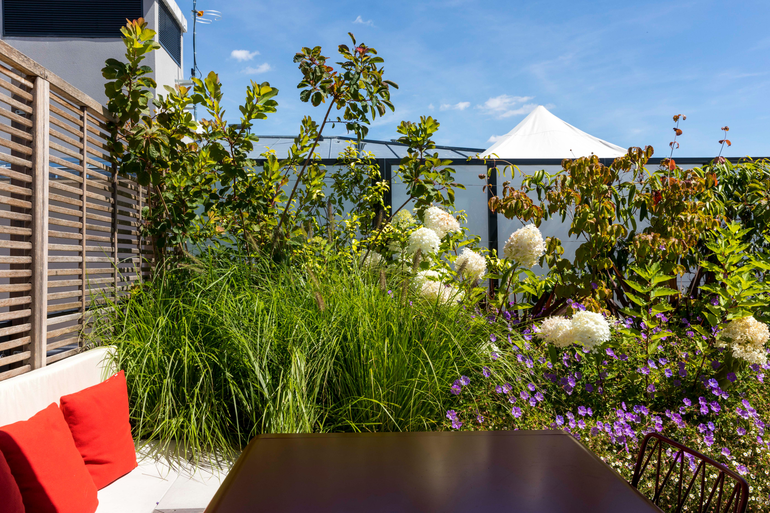 une terrasse foisonnante!