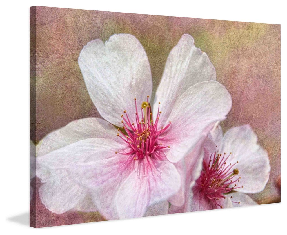 "Cherry Blossoms" Painting Print on Canvas by Theo, 18"x12