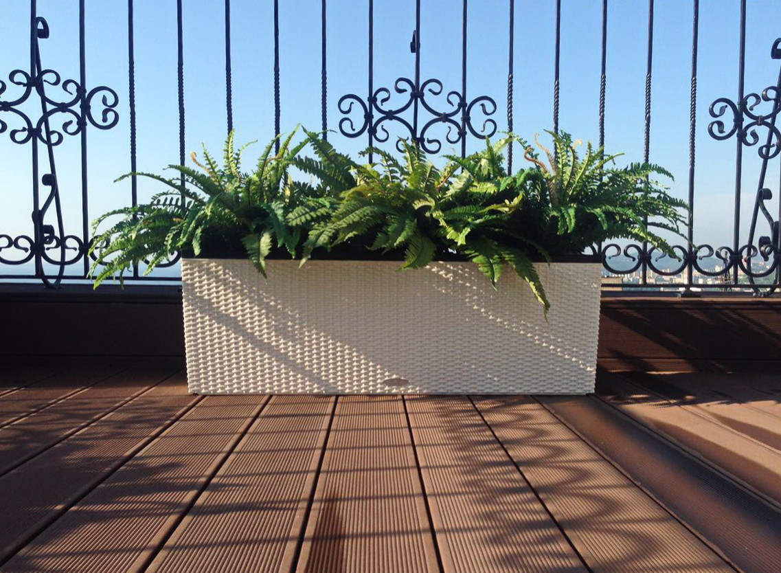 Озеленение частной крыши