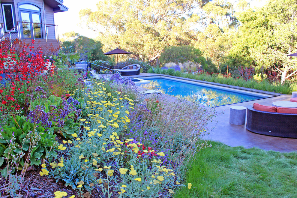 Inspiration for a large contemporary backyard rectangular lap pool in San Francisco with a hot tub and concrete slab.