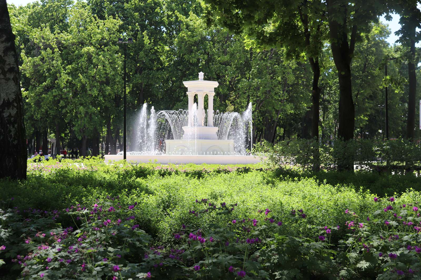 Парк Орленок