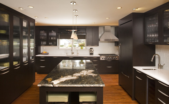 Bellevue Contemporary Kitchen contemporary-kitchen