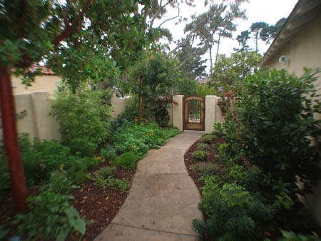 This is an example of a mediterranean landscaping in San Francisco.
