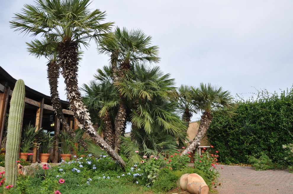 Photo of a tropical garden in Bari.