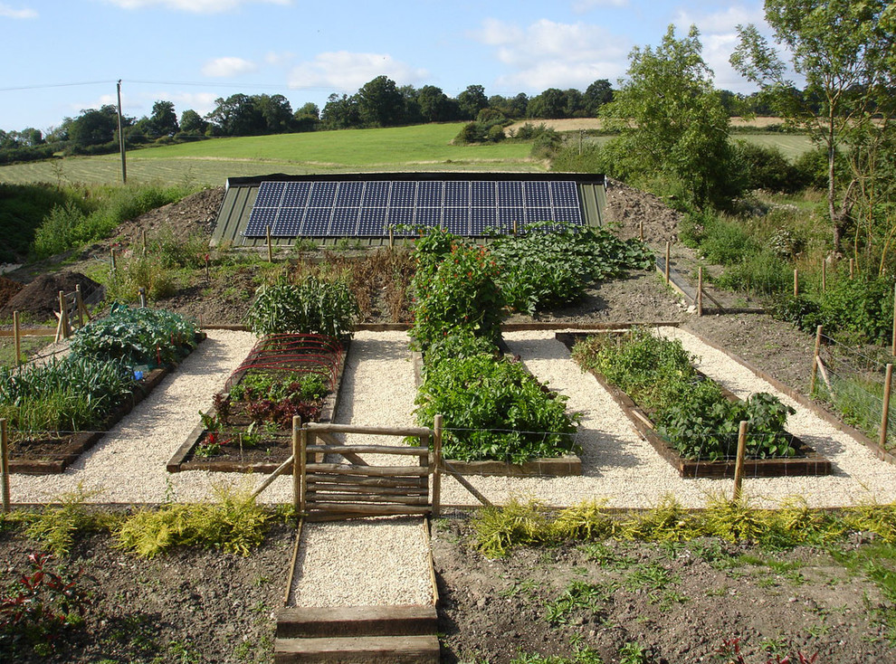 Photo of a traditional full sun garden in Wiltshire with a vegetable garden and gravel.