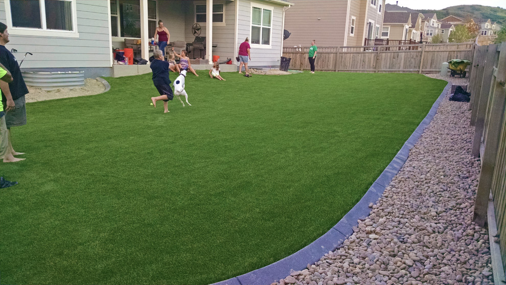 Artificial Grass Lawn Near the Foothills Modern Landscape Denver