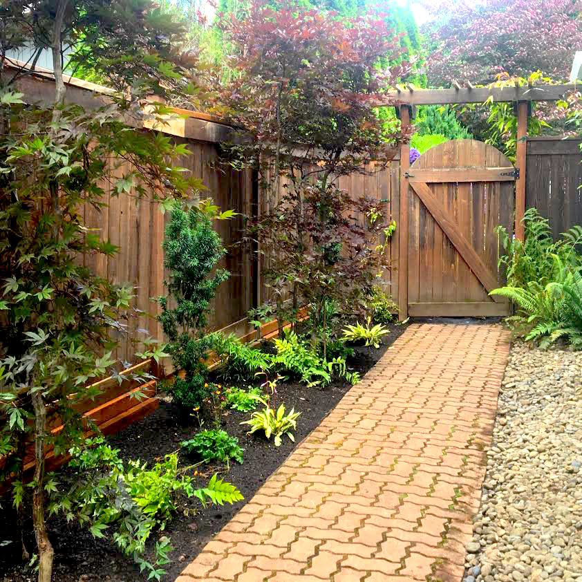 Design ideas for a mid-sized contemporary side yard full sun garden in Portland with a garden path and concrete pavers.