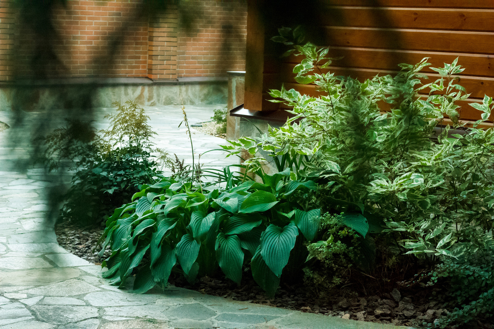 Малоуходный сад