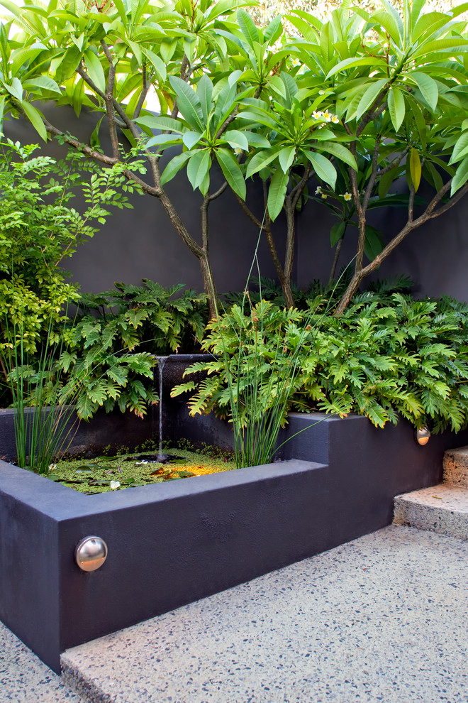 This is an example of a small tropical courtyard full sun garden in Perth with decking and a water feature.