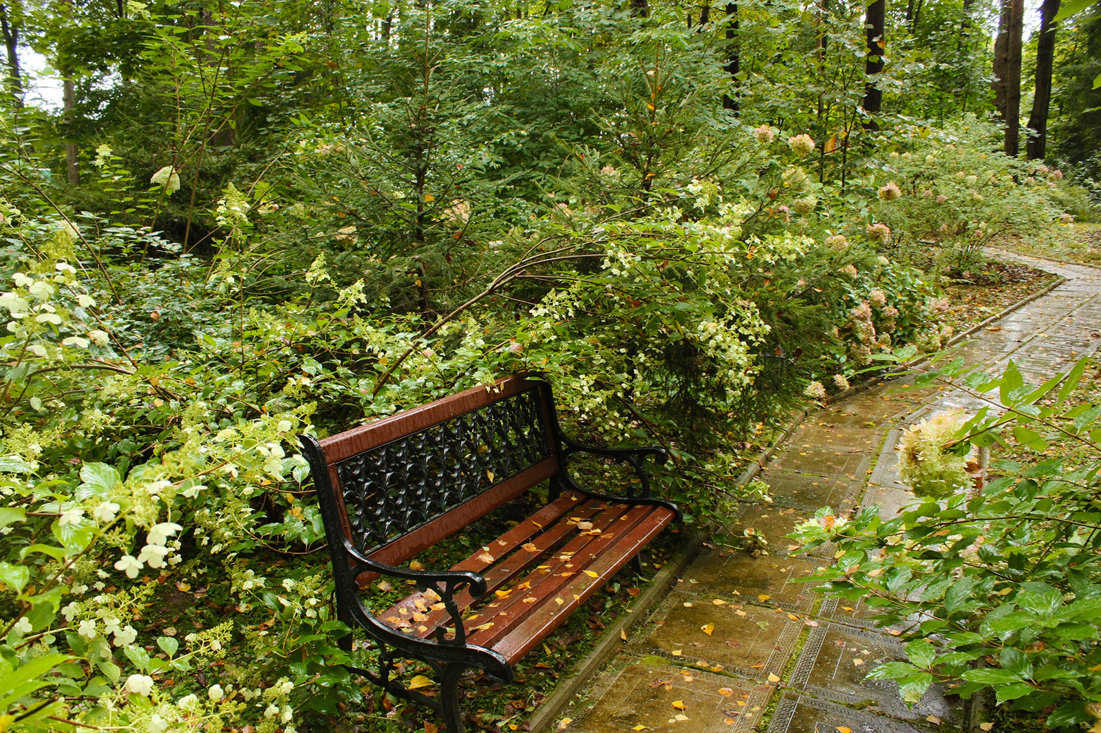 Ландшафтный проект лесного участка "Тихое очарование дворянской усадьбы".