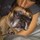 andrea_orfanakis