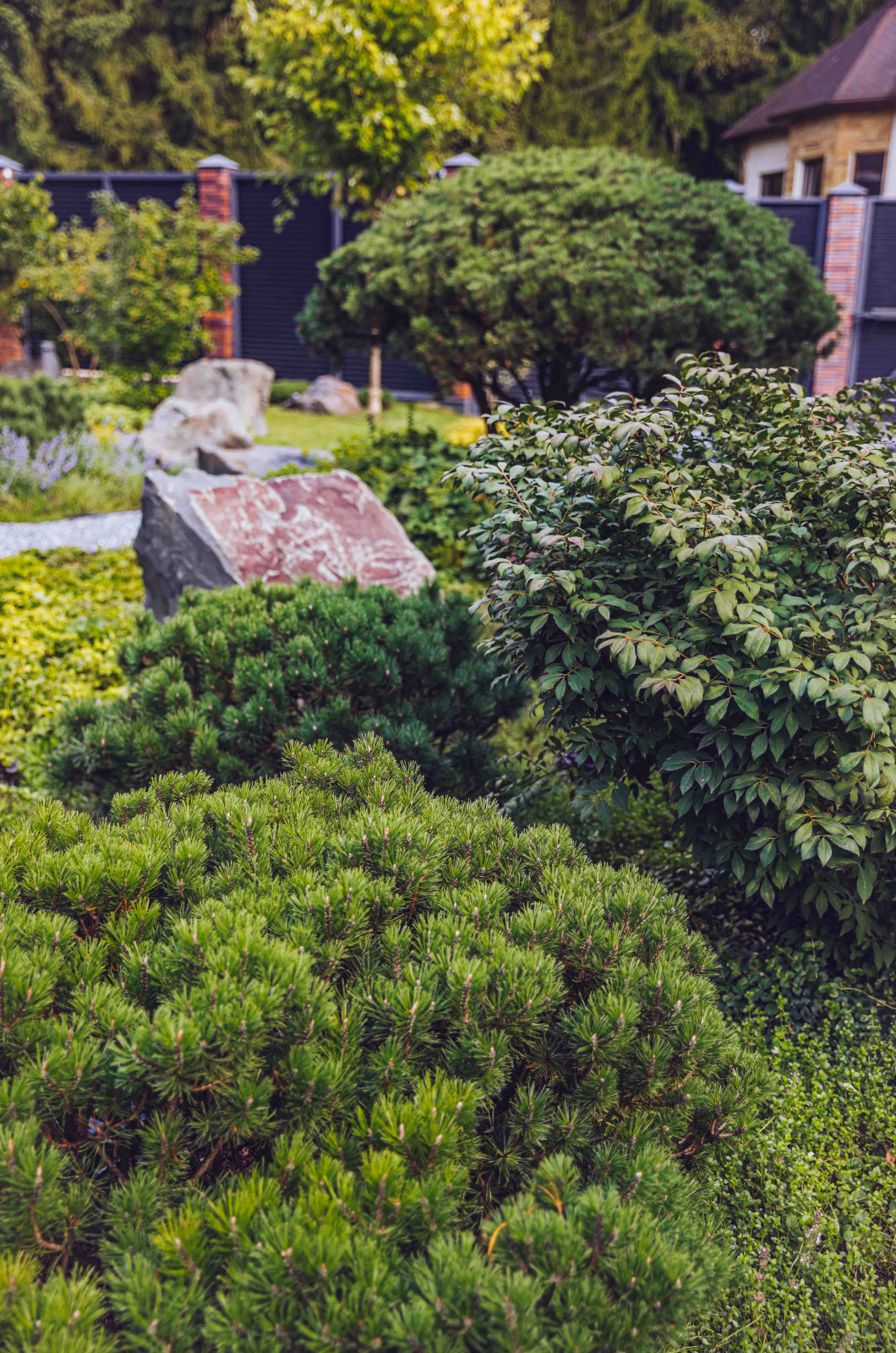 Архитектурное Решение в Пейзажном Стиле