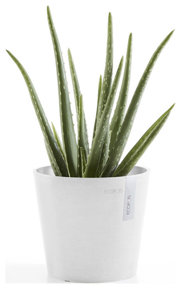 Ecopots Amsterdam Indoor - Outdoor, Planter Flower Pot, Mini Pure White, 7"