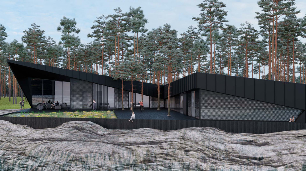 Дом в Карелии