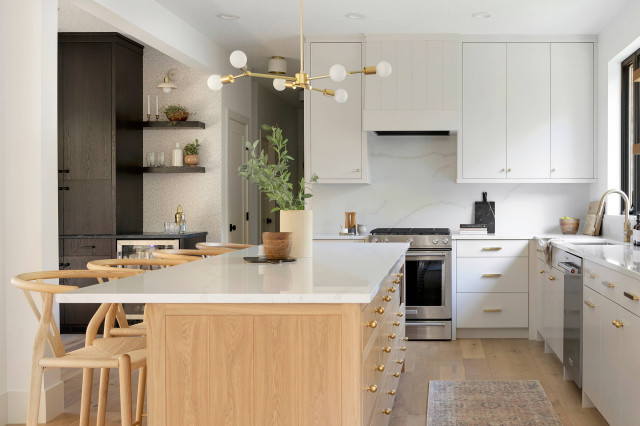Biscayne Avenue modern-kitchen