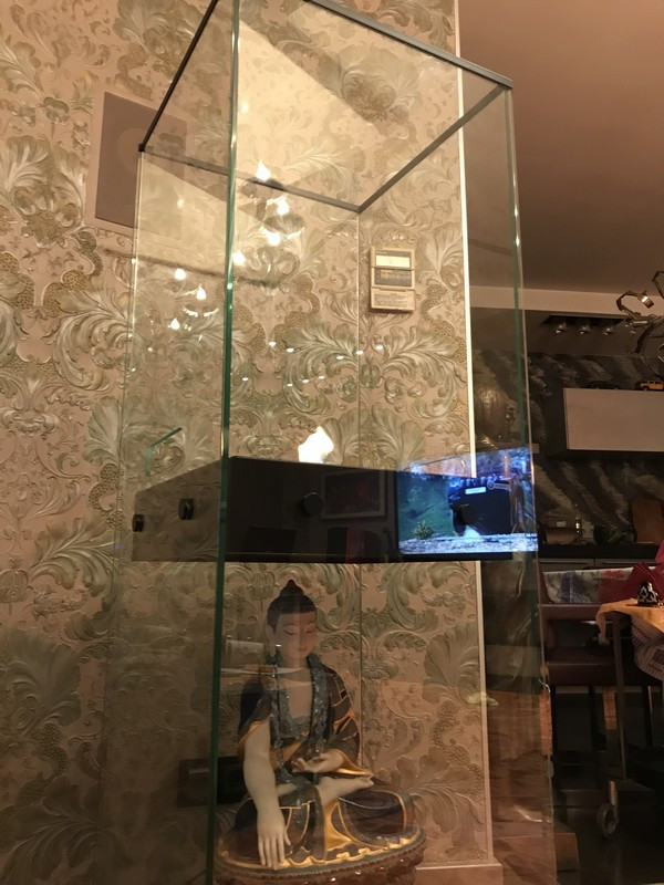 Проект Hyatt + монтаж в Москве