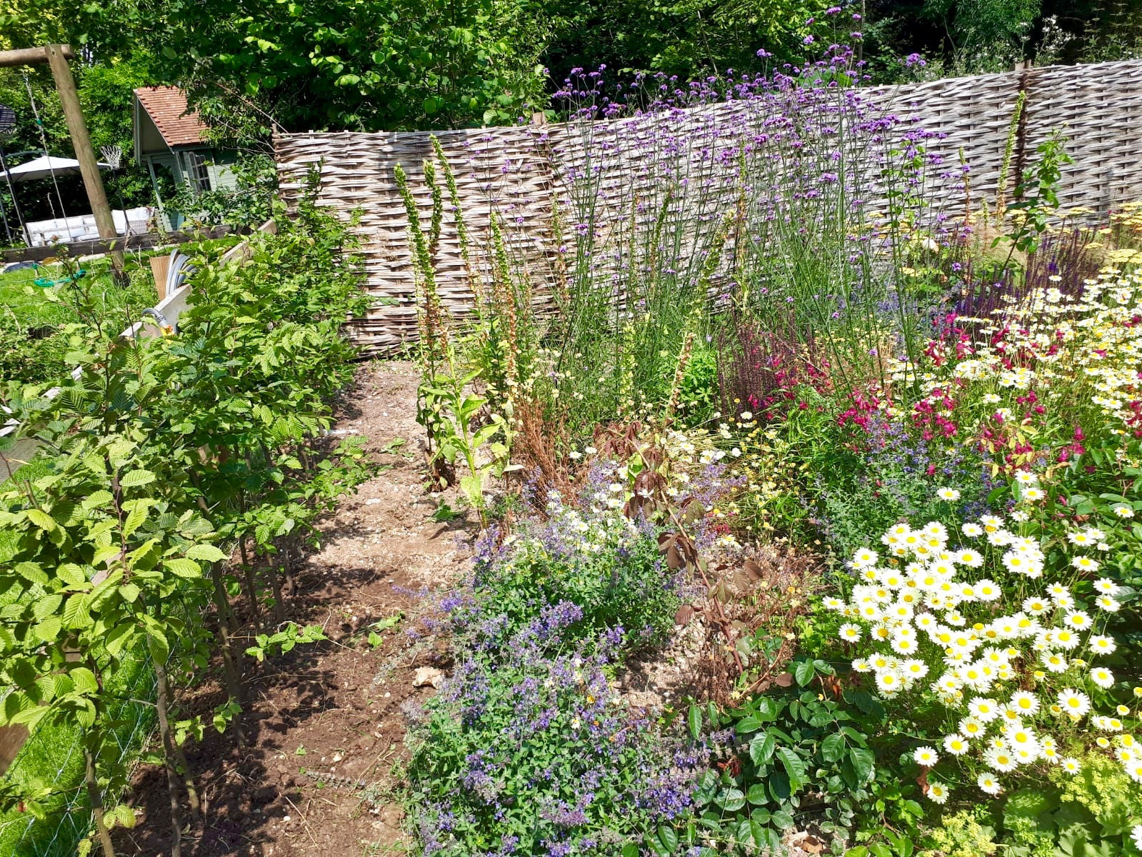 Colourful English Cottage Garden