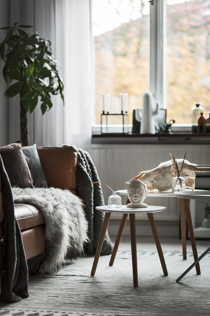 Trend scandinave-salon